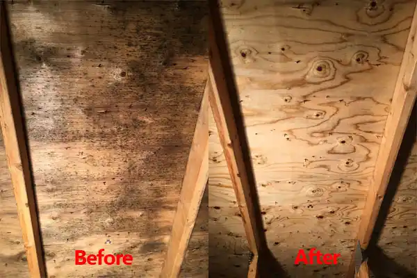 water damage restoration service Cleveland Heights